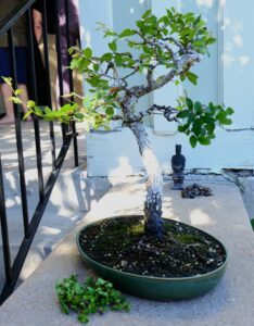 DSCF0159
